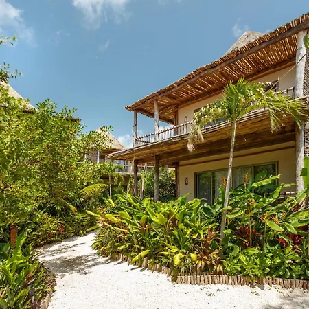 Hotel Shibari - Restaurant & Cenote Club