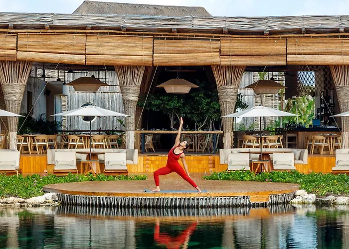 Shibari - Restaurant & Cenote Club