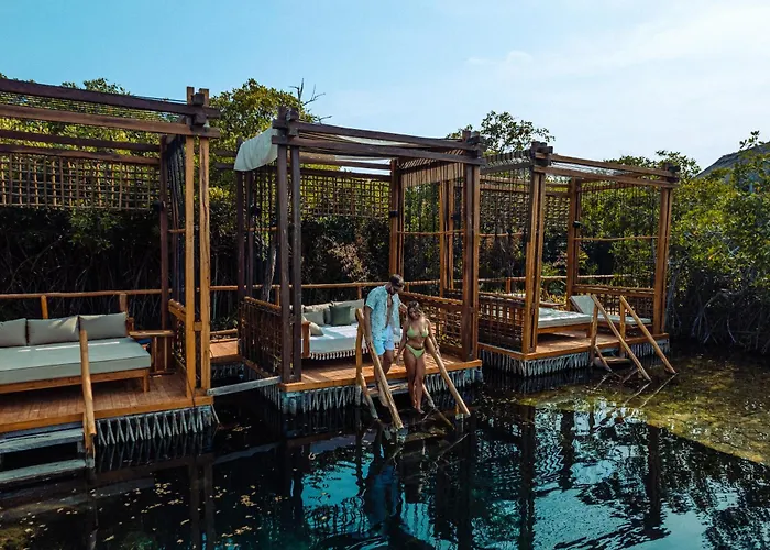 Shibari - Restaurant & Cenote Club