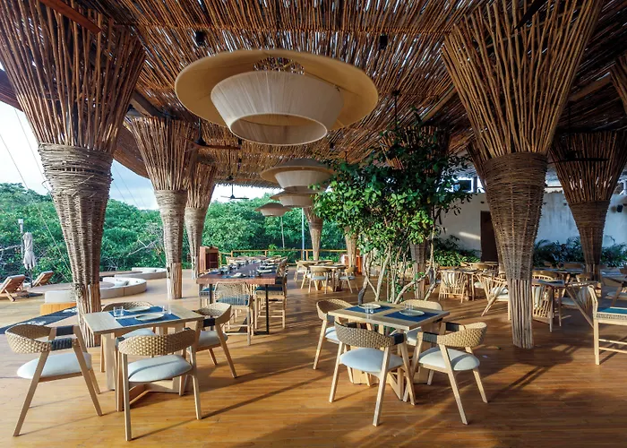 Shibari - Restaurant & Cenote Club