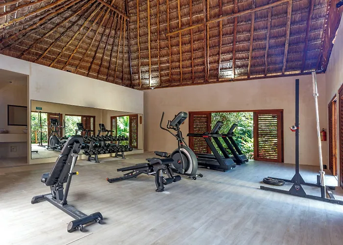 Shibari - Restaurant & Cenote Club